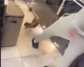 VIDEO REVOLTĂTOR // Un fotbalist a fost filmat în timp ce-și lovea pisica și se amuza de acest lucru